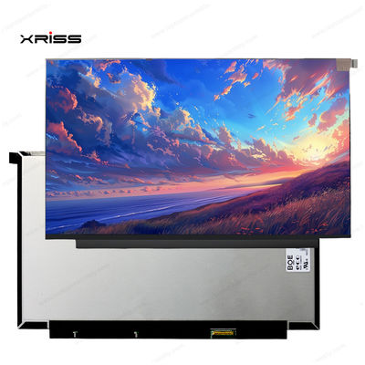 kwaliteit  13.3 Inch Touch Screen For Lenovo ThinkBook 13x ITG Notebook PC Digitizer Assembly Replacement fabriek